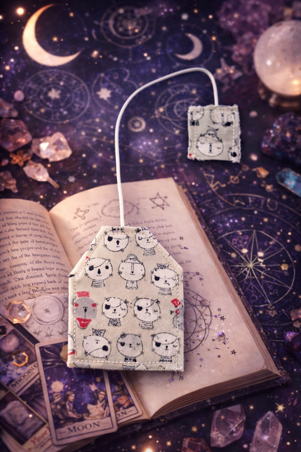 marque page chat pirates